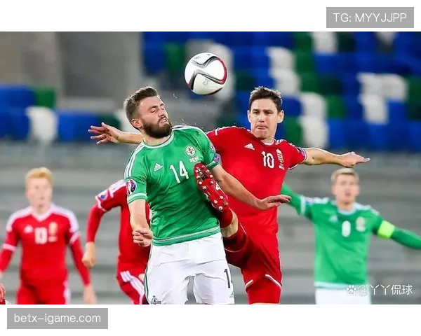 匈牙利世界杯辉煌岁月再现：重温激情与荣耀的历史篇章