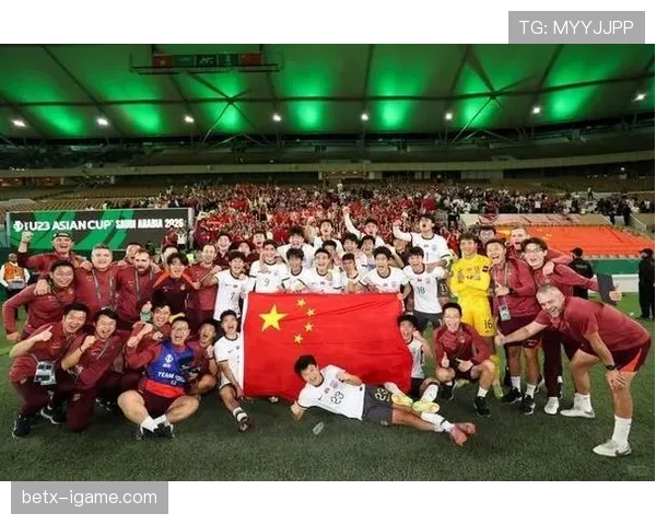 越南队表现稳健，再夺AFF杯冠军引热议